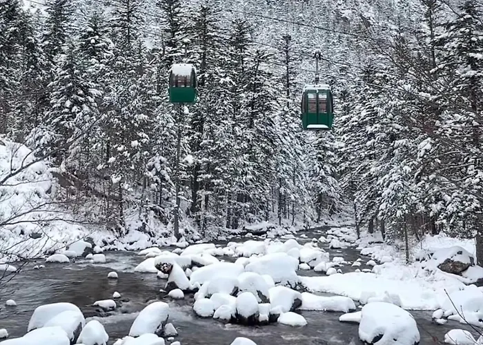 Appartement Le Georgina